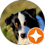 Homepage