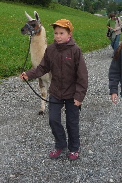 Unsere Lamas