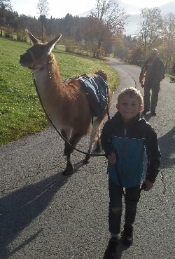 Unsere Lamas